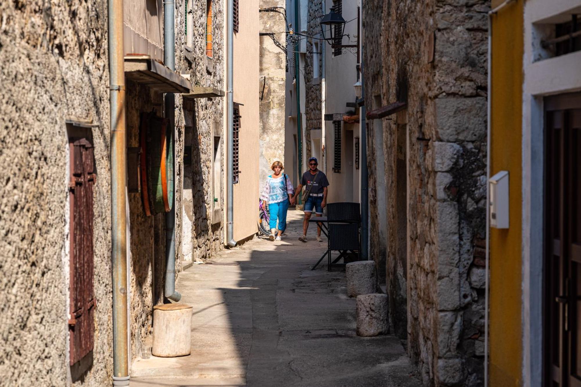 Marin Novigrad